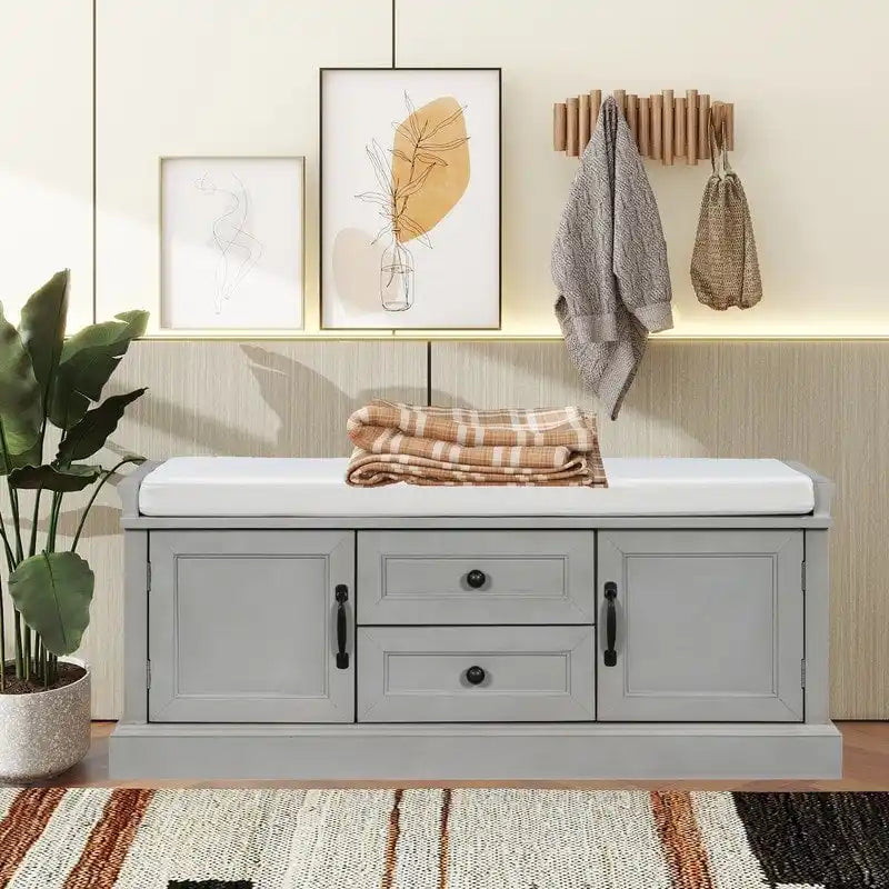 Shoe stool, 2 drawers, 2, removable pads, living room locker, entrance